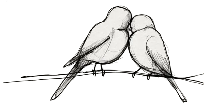 Zwei verrückte Vögel